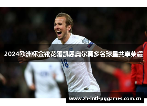 2024欧洲杯金靴花落凯恩奥尔莫多名球星共享荣耀